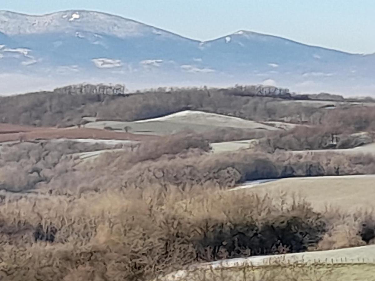 Lodge Avec Vue Panoramique Saint-Sorlin-de-Vienne Экстерьер фото